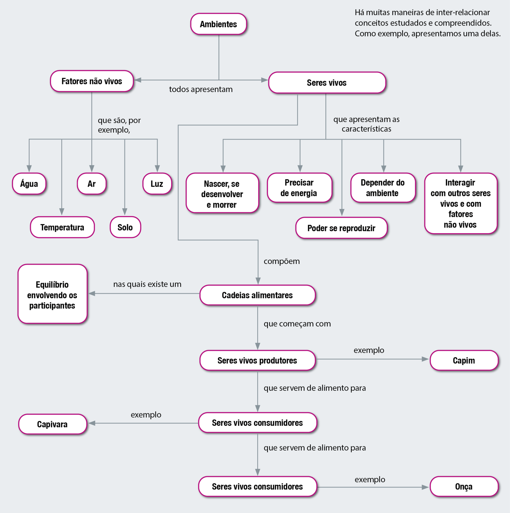 Diagrama. Ambientes. Todos apresentam: fatores não vivos e seres vivos. Fatores não vivos, que são, por exemplo, água, temperatura, ar, solo, luz. Seres vivos compõem: cadeias alimentares, nas quais existe um equilíbrio envolvendo os participantes. Cadeias alimentares que começam com: seres vivos produtores, exemplo: capim. Que servem de alimento para: seres vivos consumidores, exemplo: capivara. Que servem de alimento para: seres vivos consumidores, exemplo onça. Seres vivos que apresentam as características: nascer, se desenvolver e morrer; precisar de energia; poder se reproduzir; depender do ambiente; interagir com outros seres vivos e com fatores não vivos.