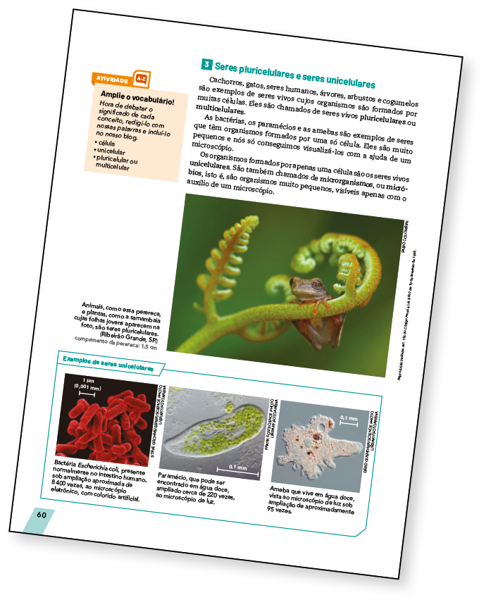 Miniatura da página do livro com a seção Amplie o vocabulário! Composta por textos e imagens.