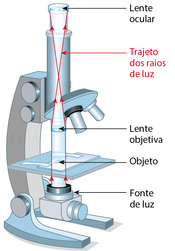 Ilustração. Instrumento composto de: Fonte de luz. Dela saem duas setas vermelhas direcionadas para cima representando o trajeto dos raios de luz. Plataforma quadrada com um buraco no meio onde fica o objeto. Sistema com três lentes objetivas. Após passar pela lente objetiva posicionada na direção do objeto, os raios de luz se cruzam. Tubo com uma lente ocular na ponta de cima.