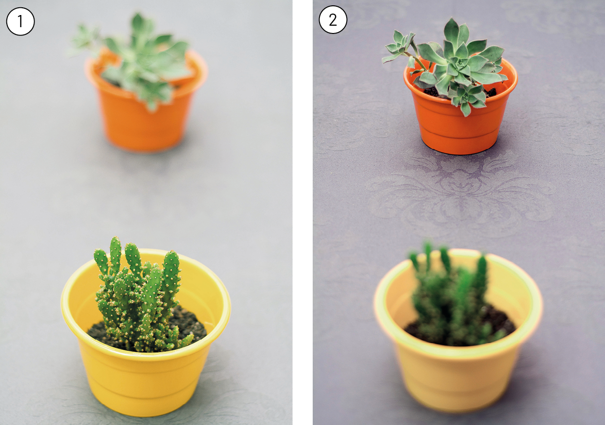 Fotografia 1. Dois vasos de plantas enfileirados. O vaso amarelo está na frente, ele tem um cactus e está nítido. O vaso laranja, atrás, está desfocado. Fotografia 2. Dois vasos de plantas enfileirados. O amarelo, na frente, está desfocado. O laranja, atrás, tem uma suculenta e está nítido.