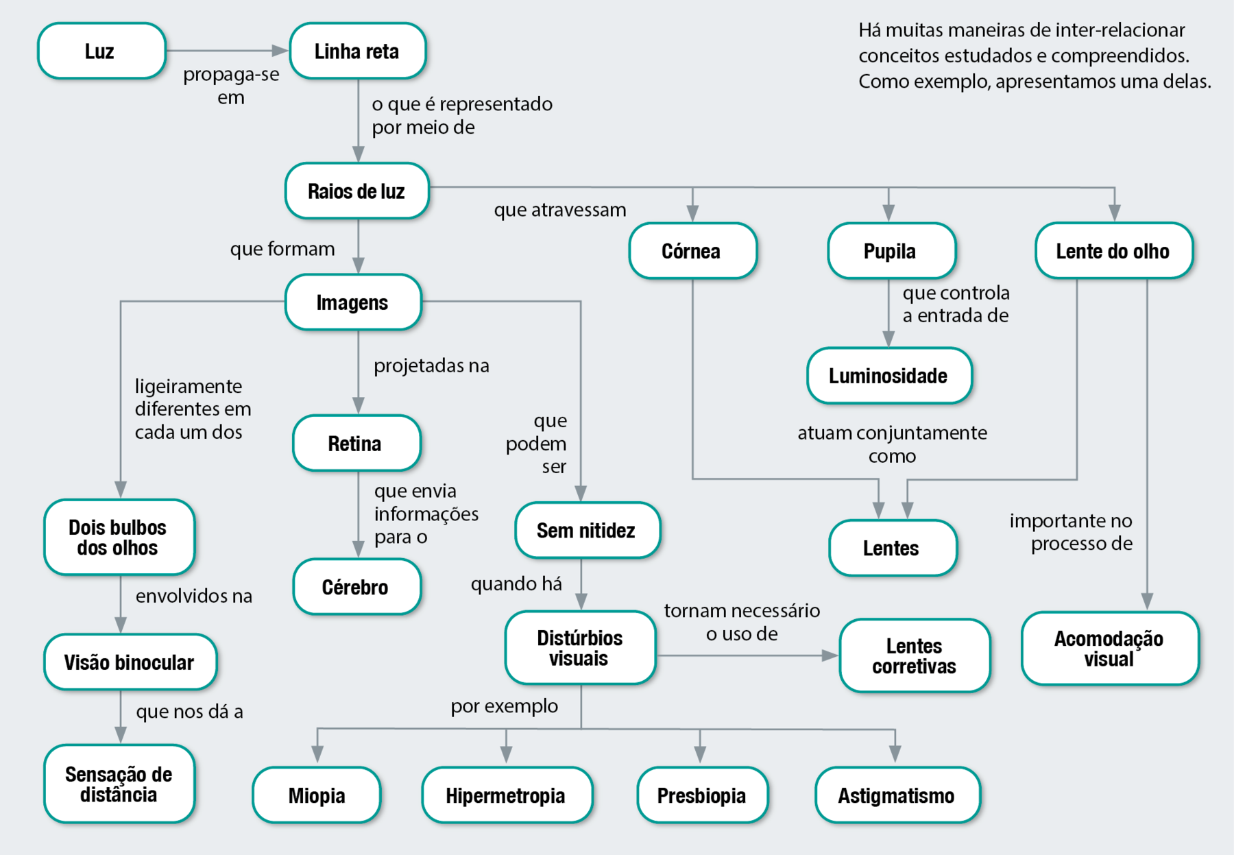 Fluxograma. Luz propaga-se em linha reta, o que é representado por meio de raios de luz, que atravessam a córnea, pupila e lente do olho. Córnea e lente do olho atuam conjuntamente como lentes. Pupila que controla a entrada de luminosidade. Lente do olho, importante no processo de acomodação visual. Raios de luz, que formam imagens projetadas na retina, que envia informações para o cérebro. Imagens ligeiramente diferentes em cada um dos dois bulbos dos olhos envolvidos na visão binocular que nos dá a sensação de distância. Imagens, que podem ser sem nitidez quando há distúrbios visuais, por exemplo miopia, hipermetropia, presbiopia e astigmatismo, tornam necessário o uso de lentes corretivas.