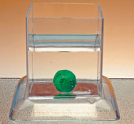 Fotografia. Um recipiente retangular transparente com água e uma bolinha de massa de modelar verde no fundo.