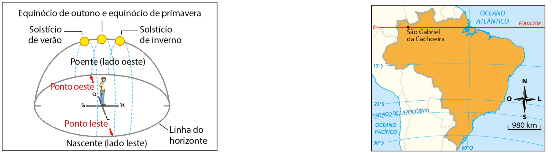 Esquema. Meia esfera cortada na horizontal (linha do horizonte) representando o planeta Terra. No centro da esfera, um homem de pé e linhas perpendiculares indicando as quatro direções. O homem está virado para a direção norte. Há três bolinhas amarelas, representando o Sol e linhas tracejadas azuis, representado sua trajetória aparente do poente (lado oeste) à nascente (lado leste). Setas vermelhas indicam os pontos leste e oeste. Uma bolinha amarela está no topo, paralela ao centro da esfera. Linha de chamada para Equinócio de outono e equinócio de primavera. Uma está à esquerda, linha de chamada para Solstício de verão. Outra está do lado direito, linha de chamada para Solstício de inverno.  Mapa do Brasil. Destaque para a localização de São Gabriel da Cachoeira, no norte do país, sobre a  linha do Equador. No canto inferior direito, rosa dos ventos e escala de 0 a 980 quilômetros.