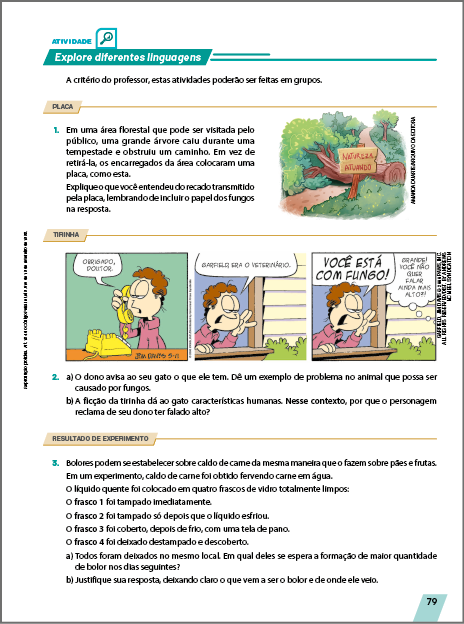 Miniatura da página do livro com a seção Explore diferentes linguagens. Composta por textos e imagens.