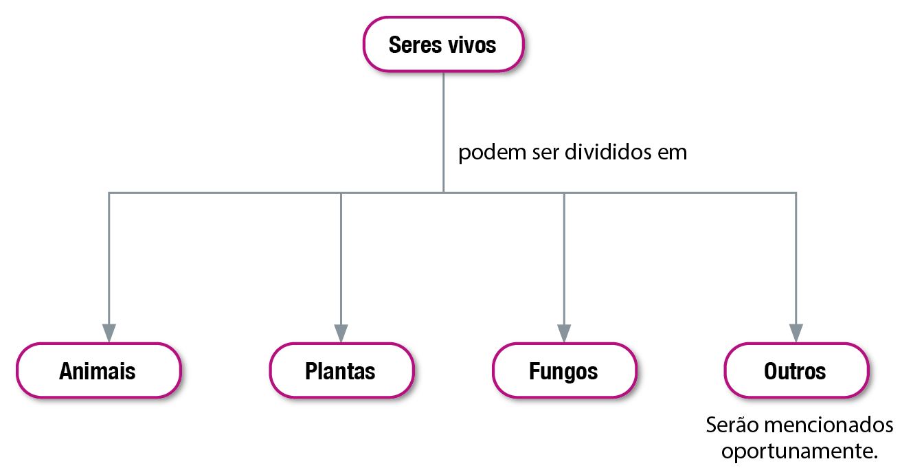 Fluxograma. Cinco balões com texto, conectados por setas. Os elementos permitem os seguintes caminhos: 
Seres vivos podem ser divididos em animais, plantas, fungos e outros, que serão mencionados oportunamente.