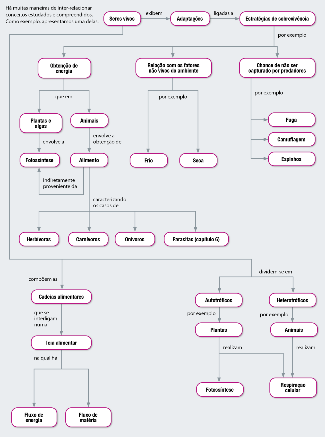 Fluxograma. Vinte e nove balões com texto, conectados por setas. Os elementos do fluxograma permitem os seguintes caminhos: Seres vivos exibem adaptações ligadas a estratégias de sobrevivência, por exemplo: obtenção de energia, relação com os fatores não vivos do ambiente, chance de não ser capturado por predadores. A relação com os fatores não vivos do ambiente, por exemplo frio e seca. A chance de não ser capturado por predadores, por exemplo fuga, camuflagem e espinhos. Obtenção de energia que em plantas e algas envolve a fotossíntese. Obtenção de energia que nos animais envolve a obtenção de alimento, indiretamente proveniente da fotossíntese e caracterizando os casos de herbívoros, carnívoros, onívoros e parasitas (capítulo 6). Os seres vivos compõem as cadeias alimentares, que se interligam numa meia alimentar na qual há fluxo de energia e fluxo de matéria. Os seres vivos dividem-se em autotróficos, por exemplo plantas que realizam fotossíntese e respiração celular, e heterotróficos, por exemplo, animais que realizam a respiração celular.