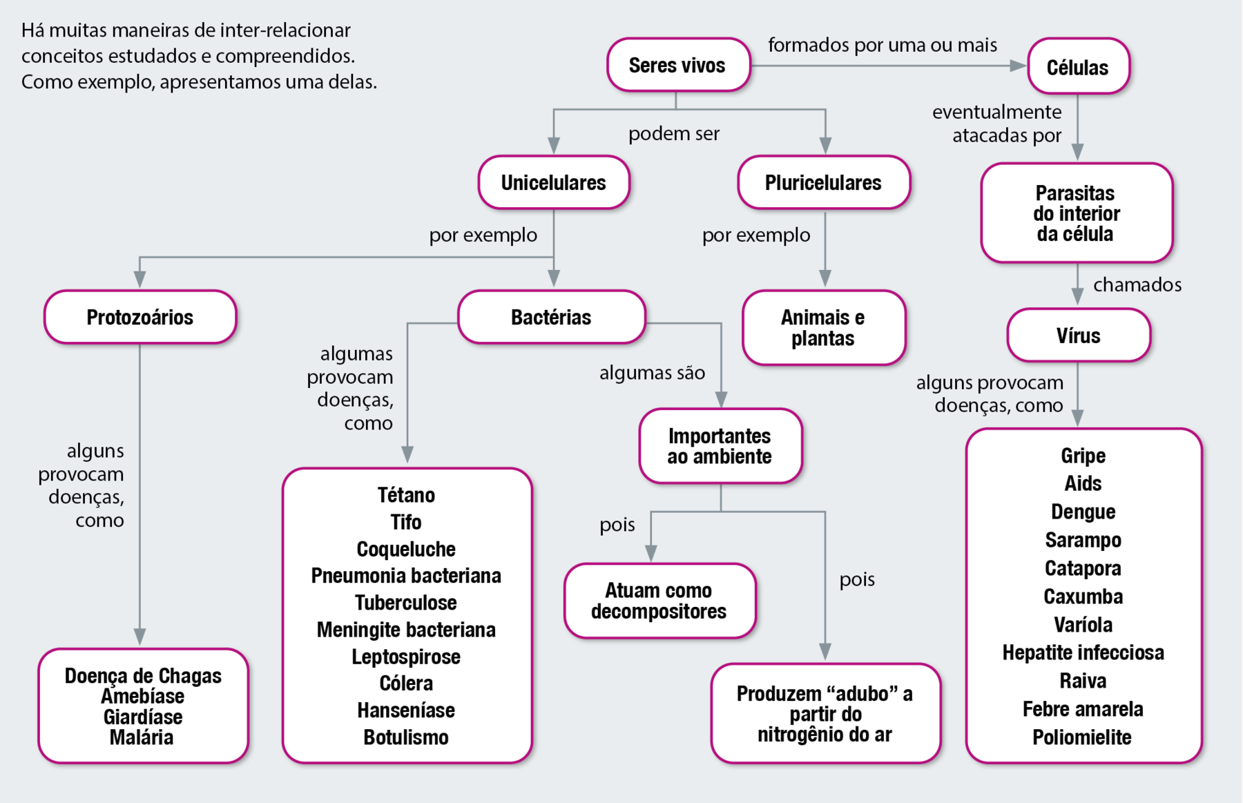 Fluxograma. Quinze balões com texto, conectados por setas. Os elementos do fluxograma permitem os seguintes caminhos: Seres vivos podem ser unicelulares, por exemplo protozoários, alguns provocam doenças, como Doença de Chagas, amebíase, giardíase e malária. Seres vivos podem ser unicelulares, por exemplo bactérias, algumas provocam doenças, como Tétano; Tifo; Coqueluche; Pneumonia bacteriana; Tuberculose; Meningite bacteriana; Leptospirose; Cólera; Hanseníase; Botulismo; Seres vivos podem ser unicelulares, por exemplo bactérias, algumas são importantes ao meio ambiente, pois atuam como decompositores, pois produzem “adubo” a partir do nitrogênio do ar. Seres vivos podem ser pluricelulares, por exemplo animais e plantas. Seres vivos são formados por uma ou mais células, eventualmente atacadas por parasitas do interior da célula chamados vírus, alguns provocam doenças como: Gripe, Aids, Dengue, Sarampo, Catapora, Caxumba, Varíola, Hepatite infecciosa, Raiva, Febre amarela, Poliomielite.