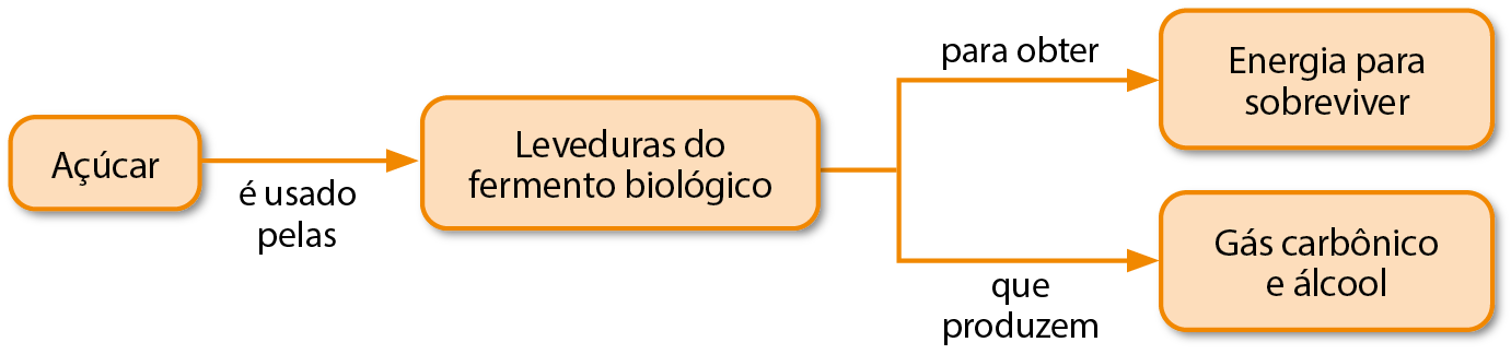 Fluxograma. Quatro balões com texto, conectados por setas. Os elementos do fluxograma permitem os seguintes caminhos: Açúcar é usado pelas leveduras do fermento biológico para obter energia para sobreviver.  Açúcar é usado pelas leveduras do fermento biológico que produzem gás carbônico e álcool.