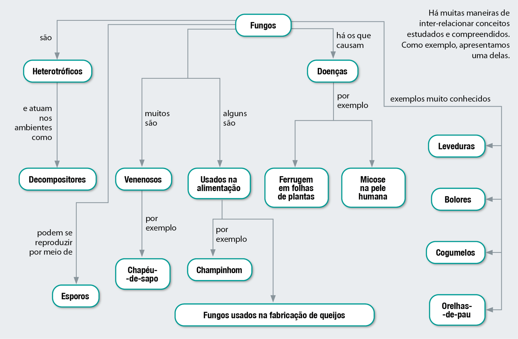 Fluxograma. Dezesseis balões com texto, conectados por setas. Os elementos do fluxograma permitem os seguintes caminhos: Fungos são heterotróficos e atuam nos ambientes como decompositores. Fungos podem se reproduzir por meio de esporos. Fungos muitos são venenosos, por exemplo o chapéu-de-sapo; alguns são usados na alimentação, como por exemplo champinhom e fungos usados na fabricação de queijos. Fungos há os que causam doenças, por exemplo ferrugem em folhas de plantas e micose na pele humana. Fungos exemplos muito conhecidos: leveduras, bolores, cogumelos e orelhas-de-pau.