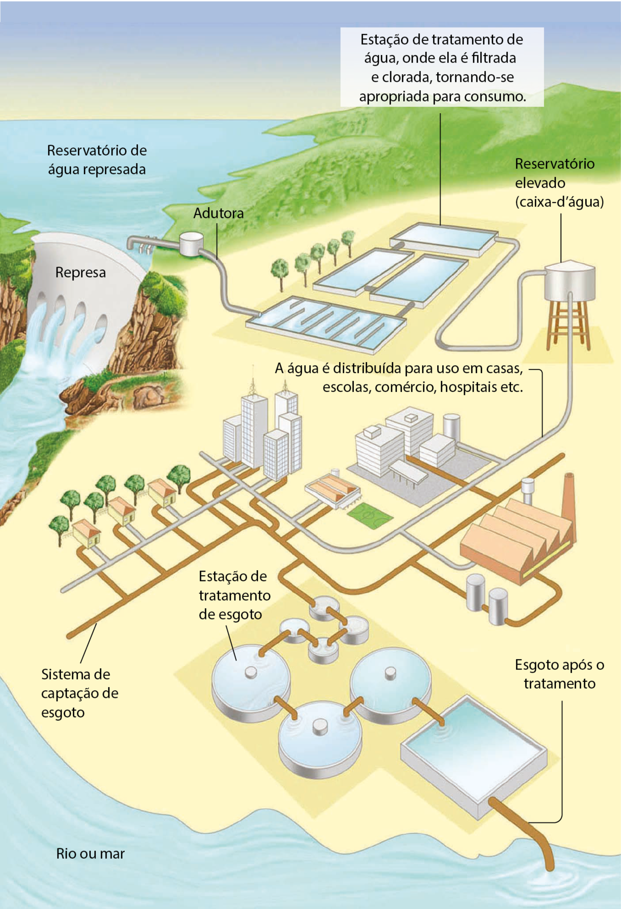 Esquema. Representação de um sistema de captação e distribuição de água. Do lado esquerdo, uma represa rodeada por vegetações: reservatório de água represada. Dessa represa, a água passa por aberturas e volta ao rio. Duto capta a água da represa, adutora, e leva para tanques de água. Estação de tratamento de água, onde ela é filtrada e clorada, tornando-se apropriada para consumo humano. Do último tanque, tubulação leva a água até um reservatório elevado (caixa d’água). Do reservatório, a tubulação segue até desenhos de fábricas, prédios e casas. A água é distribuída para usos em casas, escolas, comércio, hospitais etc.