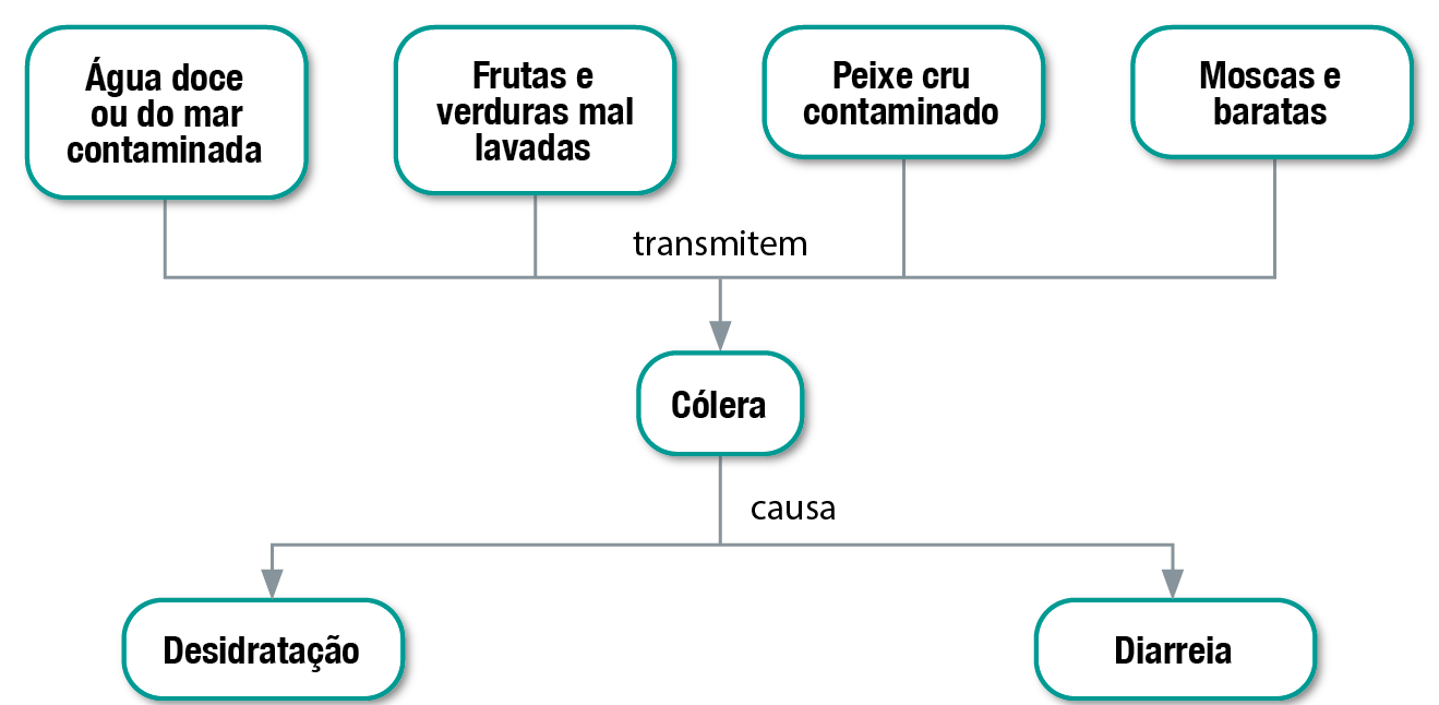 Fluxograma. Sete balões com texto, conectados por setas. Os elementos do fluxograma permitem os seguintes caminhos:
Água doce ou do mar contaminada; Frutas e verduras mal lavadas; Peixe cru contaminado; Moscas e baratas transmitem cólera. Cólera causa desidratação e diarreia.