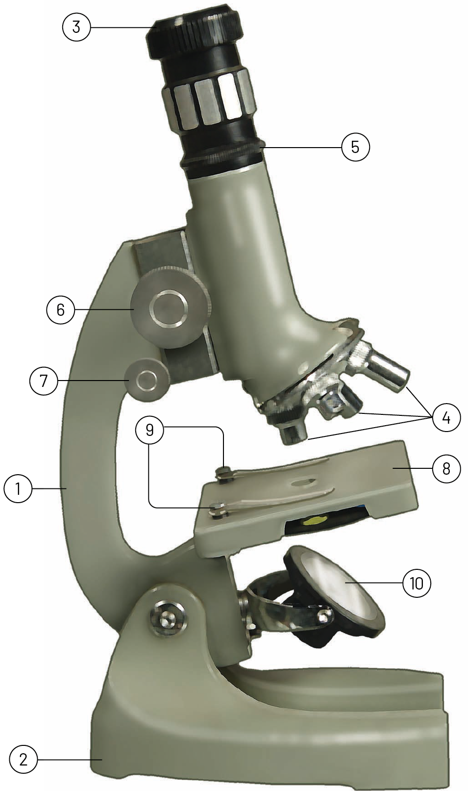 Ilustração. Um microscópio com linhas de chamada com números de 1 a 10, evidenciando algumas de suas partes.