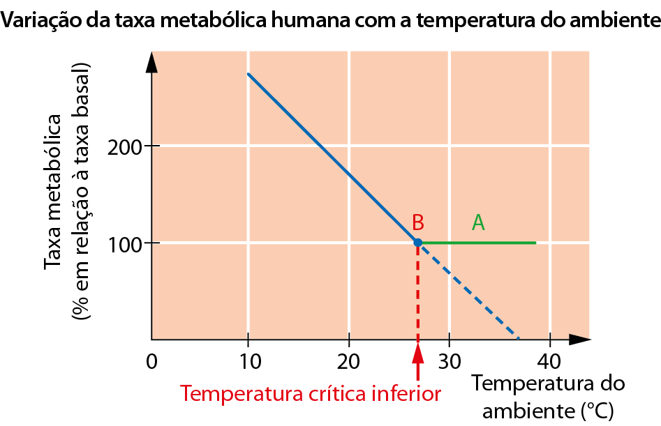 Gráfico. Gráfico de linha dariação da taxa metabólica humana em relação à temperatura ambiente. No eixo vertical, Taxa metabólica (porcentagem em relação à taxa basal), com os pontos 0, 100 e 200. No eixo horizontal, Temperatura do ambiente (grau Celsius) e marcação dos pontos 0, 10, 20, 30, 40. Fundo de cor avermelhada com linhas horizontais e verticais brancas. Reta descendente de cor azul tendo o primeiro ponto em taxa metabólica acima de 200 porcento com a temperatura do ambiente igual a 10 graus Celsius em queda até o ponto B (Temperatura crítica inferior), indicado em vermelho, por volta dos 28 graus Celsius, com taxa metabólica de 100 porcento. A partir do ponto B, reta A em verde, que mostra que nesse trecho a taxa metabólica permanece constante no valor mínimo equivalente a 100 porcento.