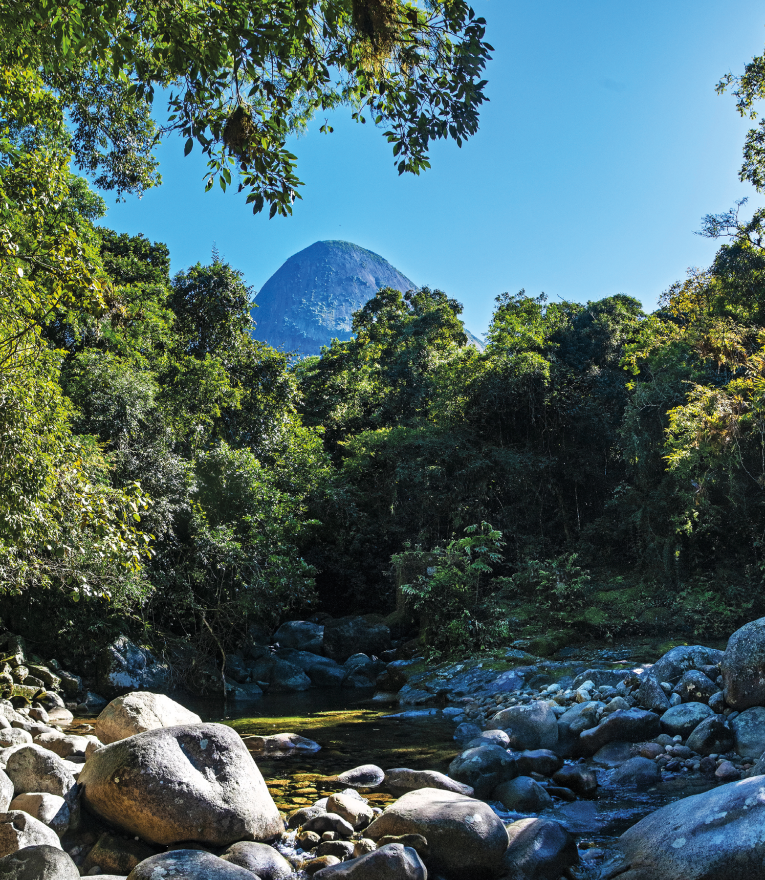 Fotografia. Paisagem composta por um riacho no meio de pedras. Ao redor, uma floresta com vegetação densa. No fundo, montanha.