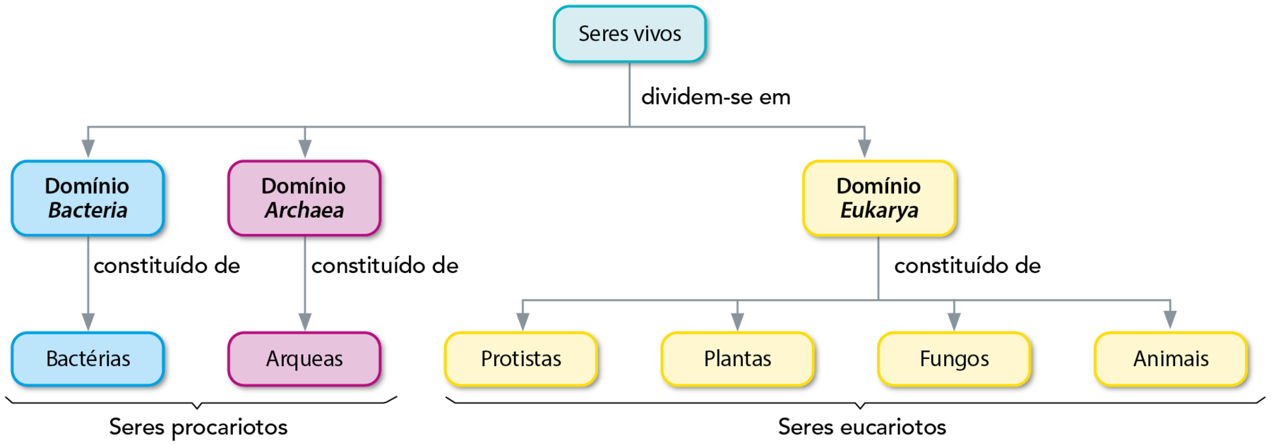 Fluxograma. Dez balões de texto, conectados por setas. Dois quadros azuis, dois quadros roxos, cinco quadros amarelos e a palavra inicial "Seres vivos" no topo do fluxograma. Os elementos permitem os seguintes caminhos: 
Seres vivos, dividem-se em: domínio Bacteria (quadro em azul), domínio Archaea (quadro em roxo) e domínio Eukarya (quadro em amarelo). 
Domínio Bacteria é constituído de bactérias; Domínio Archaea é constituído de constituído de arqueas; Domínio Eukarya é constituído de protistas, plantas, fungos e animais. Bactérias e Arqueas são seres procariotos. Protistas, Plantas, Fungos e Animais são seres eucariotos.