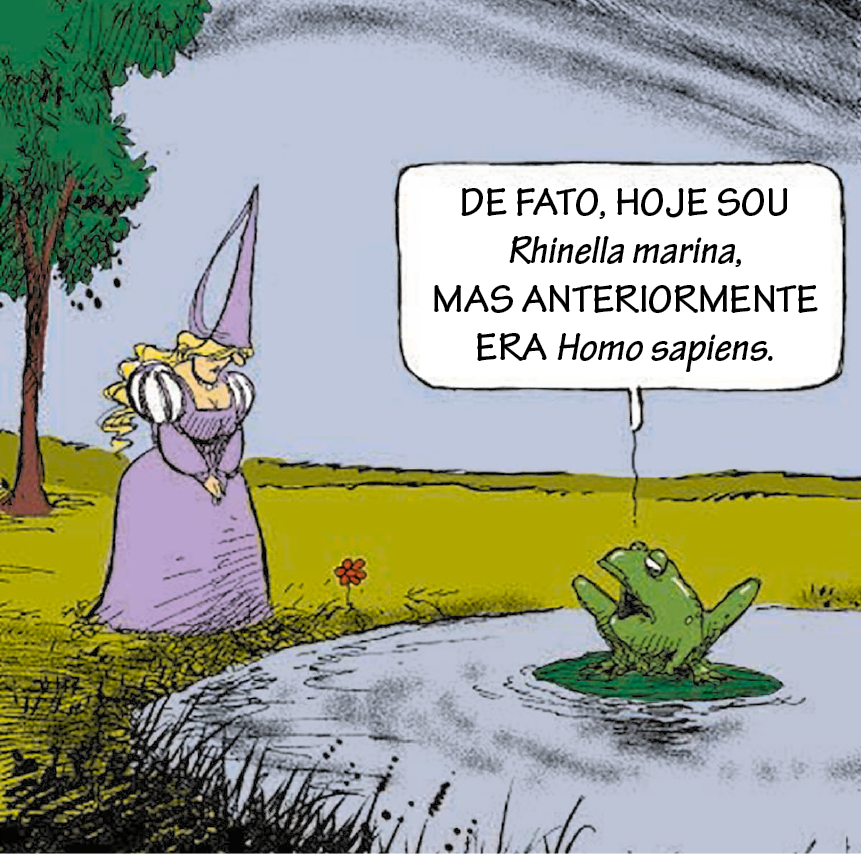 Charge. Mulher de cabelo loiro ondulado longo. Ela usa um vestido lilás com mangas bufantes e um chapéu pontudo lilás. Ela olha para um lago. No centro do lago, uma vitória-régia com um sapo em cima. O sapo diz: DE FATO, HOJE SOU Rhinella marina, MAS ANTERIORMENTE ERA Homo sapiens.