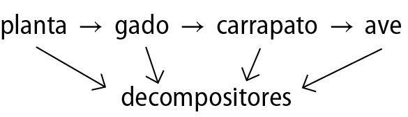 Diagrama. Da palavra Planta sai uma seta para a palavra Gado. Da palavra gado sai uma seta para a palavra Carrapato. Da palavra carrapato sai uma seta para a palavra Ave. De todas essas palavras sai uma seta para a palavra Decompositores.