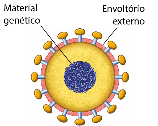 Esquema. Vírus de forma esférica. No interior há um emaranhado de fios de cor azul escuro com linha de chamada e o texto: Material genético. Externamente, há um envoltório colorido em rosa, com linha de chamada e o texto: Envoltório externo. Ao redor de todo o envoltório externo, há pequenas hastes com estruturas arredondadas no topo.
