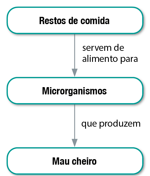 Fluxograma. Três balões com texto, conectados por setas. Os elementos do fluxograma permitem o seguinte caminho:
Restos de comida servem de alimento para microrganismos que produzem mau cheiro.