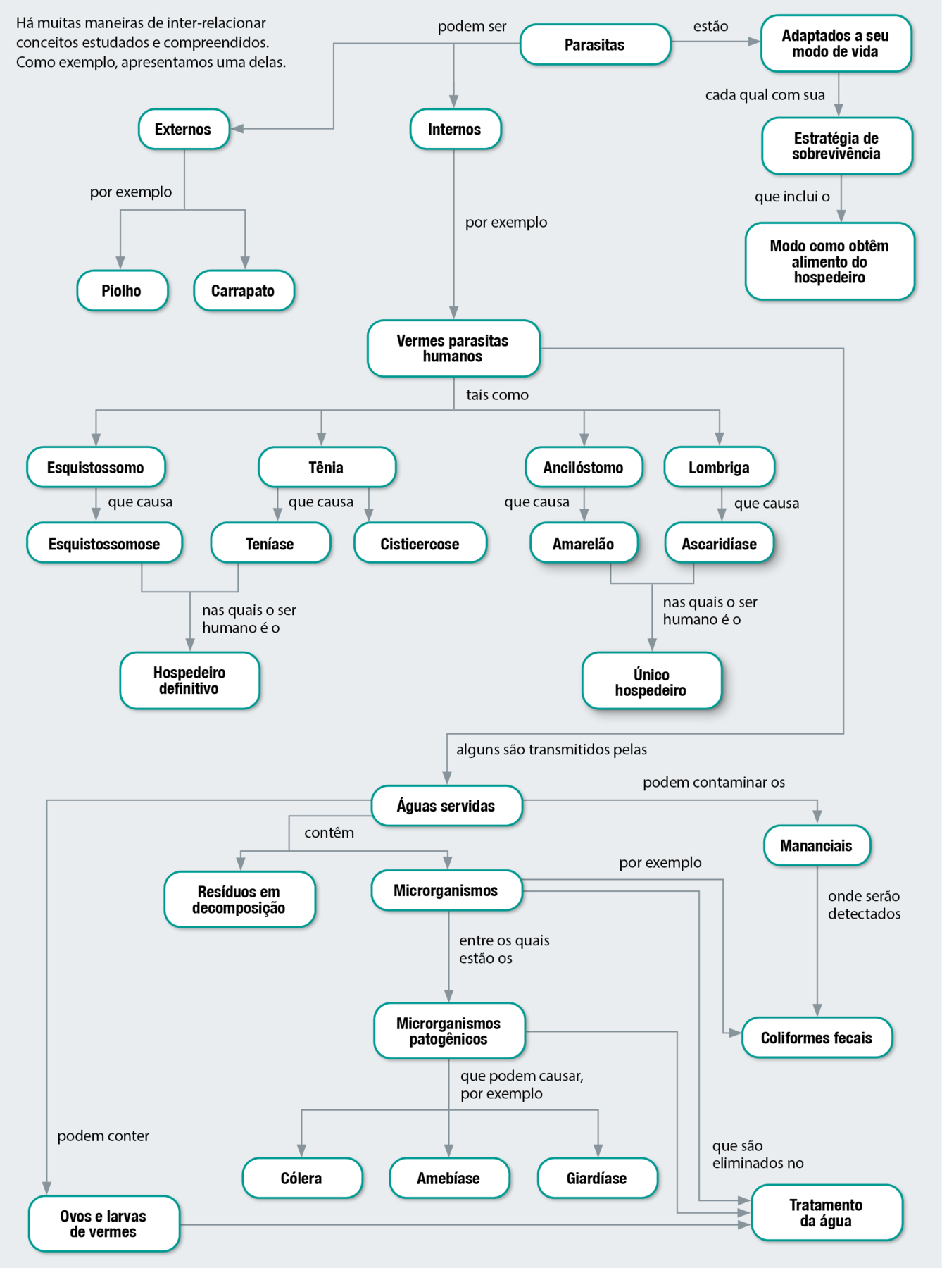 Fluxograma. Trinta e um balões com texto, conectados por setas. Os elementos do fluxograma permitem os seguintes caminhos: Parasitas estão adaptados a seu modo de vida, cada qual com sua estratégia de sobrevivência, que inclui o modo como obtém alimento do hospedeiro. Parasitas podem ser externos, por exemplo piolho e carrapato, ou internos, por exemplo vermes parasitas humanos. Vermes parasitas humanos, tais como: esquistossomo, que causa esquistossomose, e tênia, que causa teníase e cisticercose. Esquistosomose e teníase, nas quais o ser humano é o hospedeiro definitivo. Vermes parasitas humanos tais como ancilóstomo, que causa amarelão; e lombriga, que causa ascaridíase. Amarelação e ascaridíase nas quais o ser humano é o único hospedeiro. Vermes parasitas humanos, alguns são transmitidos pelas águas servidas, que podem conter ovos e larvas de vermes, que são eliminados no tratamento de água. Águas servidas contém resíduos em decomposição e microrganismos, por exemplo coliformes fecais. Microrganismos entre os quais estão os microrganismos patogênicos, que pode causar, por exemplo, cólera, amebíase e giardíase. Microrganismos patogênicos são eliminados no tratamento de água. Águas servidas podem contaminar os mananciais, onde serão detectados coliformes fecais, que são exemplos de microrganismos patogênicos. Microrganismos patogênicos são eliminados no tratamento de água.