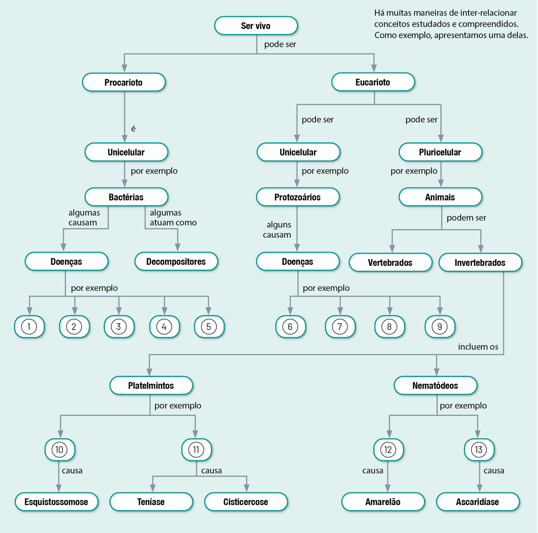 Fluxograma. Trinta e quatro balões com texto, conectados por setas. Os elementos do fluxograma permitem os seguintes caminhos: Ser vivo pode ser procarioto ou eucarioto. Ser vivo procarioto é unicelular, por exemplo bactérias, algumas atuam como decompositores e algumas causam doenças, por exemplo: 1, 2, 3, 4 e 5. Ser vivo eucarioto pode ser unicelular ou pluricelular. Ser vivo eucarioto pode ser unicelular, por exemplo protozoários, alguns causam doenças, por exemplo 6, 7, 8 e 9. Ser vivo eucarioto pode ser pluricelular, por exemplo animais, que podem ser vertebrados ou invertebrados. Invertebrados incluem os platelmintos, por exemplo 10 causa esquistossomose, e 11 causa teníase e cisticercose. Invertebrados incluem nematódeos, por exemplo 12 causa amarelão, e 13 causa ascaridíase.