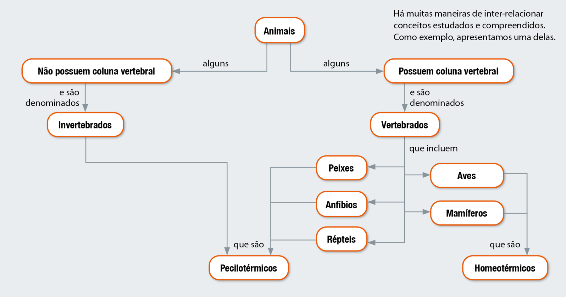 Fluxograma. Doze balões com texto, conectados por setas. Os elementos do fluxograma permitem os seguintes caminhos: Animais alguns não possuem coluna vertebral e são denominados invertebrados, que são pecilotérmicos. Animais alguns possuem coluna vertebral e são denominados vertebrados, que incluem peixes, anfíbios, répteis, aves e mamíferos. Peixes, anfíbios e répteis são pecilotérmicos. Aves e mamíferos são homeotérmicos.