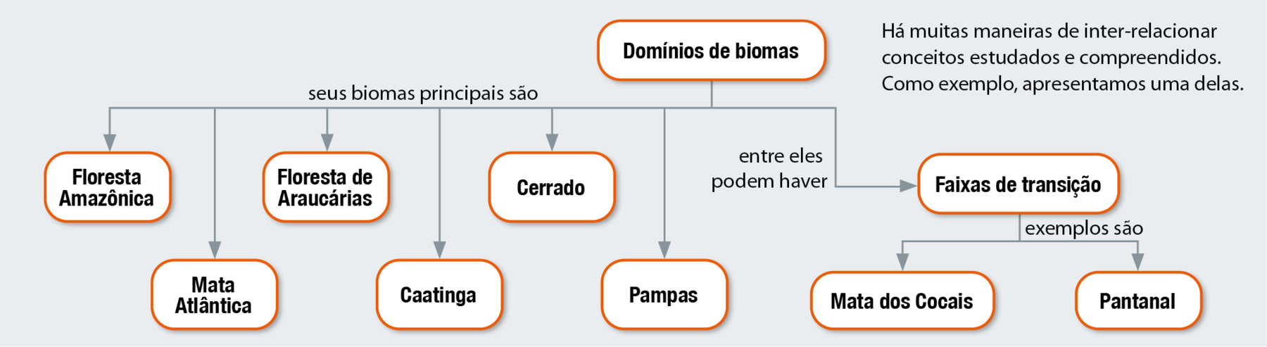 Fluxograma. Dez balões com texto, conectados por setas. Os elementos do fluxograma permitem os seguintes caminhos: Domínios de biomas seus biomas principais são: Floresta Amazônica, Mata Atlântica, Floresta de Araucárias, Caatinga, Cerrado, Pampas. Domínios de biomas entre eles podem haver faixas de transição, exemplos são: Mata dos Cocais e Pantanal.