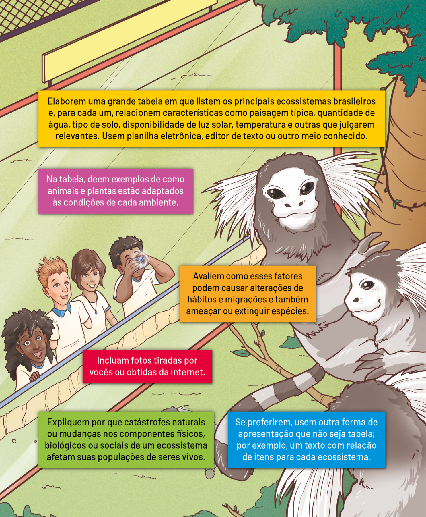 lustração. Quatro adolescentes com a uniforme escolar branco com gola azul, em um zoológico, observando dois macacos  que estão em uma árvore. Os animais tem corpo com pelos cinza e tufos brancos na face. A menina negra de cabelo preto olha e sorri. O menino branco de cabelo loiro arrepiado e com deficiência nos membros anteriores, também está olhando os animais e sorrindo. A menina de cabelo castanho curto e liso, usa um colar. Ela também olha para os macacos. O menino moreno com cabelo preto e encaracolado, tem uma máquina fotográfica. Ele está fotografando os macacos. Ao redor, quadros coloridos com textos: Elaborem uma grande tabela em que listem os principais ecossistemas brasileiros e, para cada um, relacionem características como paisagem típica, quantidade de água, tipo de solo, disponibilidade de luz solar, temperatura e outras que julgarem relevantes. Usem planilha eletrônica, editor de texto ou outro meio conhecido (texto em amarelo). Na tabela, deem exemplos de como animais e plantas estão adaptados às condições de cada ambiente (texto em roxo). Avaliem como esses fatores podem causar alterações de hábitos e migrações e também ameaçar ou extinguir espécies (texto em laranja). Incluam fotos tiradas por vocês ou obtidas da internet (texto em rosa). Expliquem por que catástrofes naturais ou mudanças nos componentes físicos, biológicos ou sociais de um ecossistema afetam suas populações de seres vivos (texto em verde). Se preferirem, usem outra forma de apresentação que não seja tabela; por exemplo, um texto com relação de itens para cada ecossistema (texto em azul).