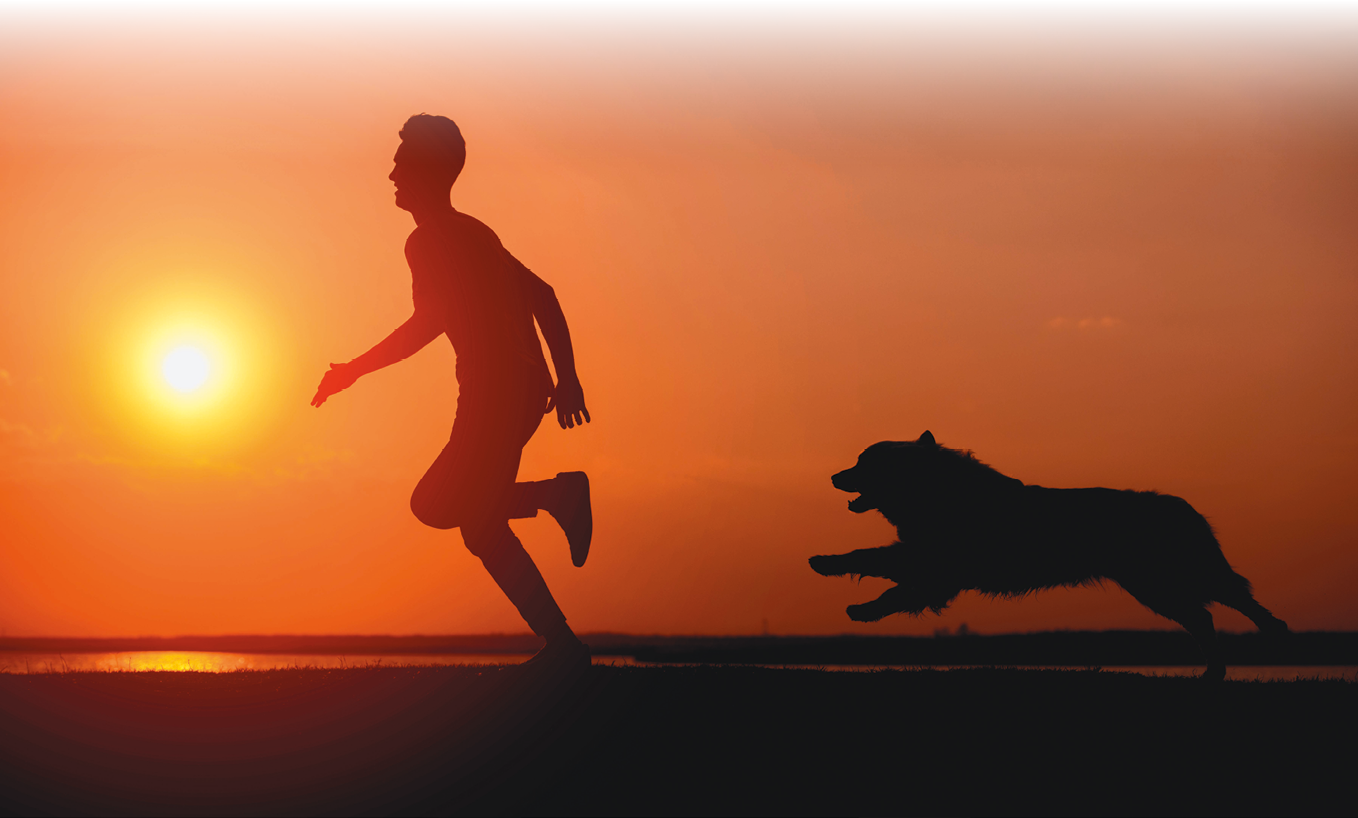 Fotografia. Sombra de um menino e um cachorro correndo no pôr-do-sol.