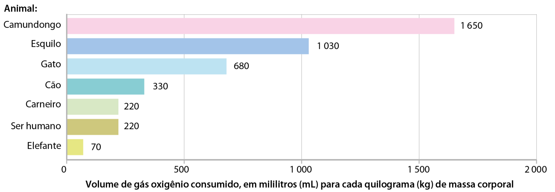 Gráfico. Volume de gás oxigênio que alguns animais (em repouso) consomem em uma hora. No eixo vertical, animal. No eixo horizontal, volume de gás oxigênio consumido, em mililitros para cada quilograma de massa corporal. Camundongo: 1.650. Esquilo: 1.030. Gato: 680. Cão: 330. Carneiro: 220. Ser humano: 220. Elefante: 70.