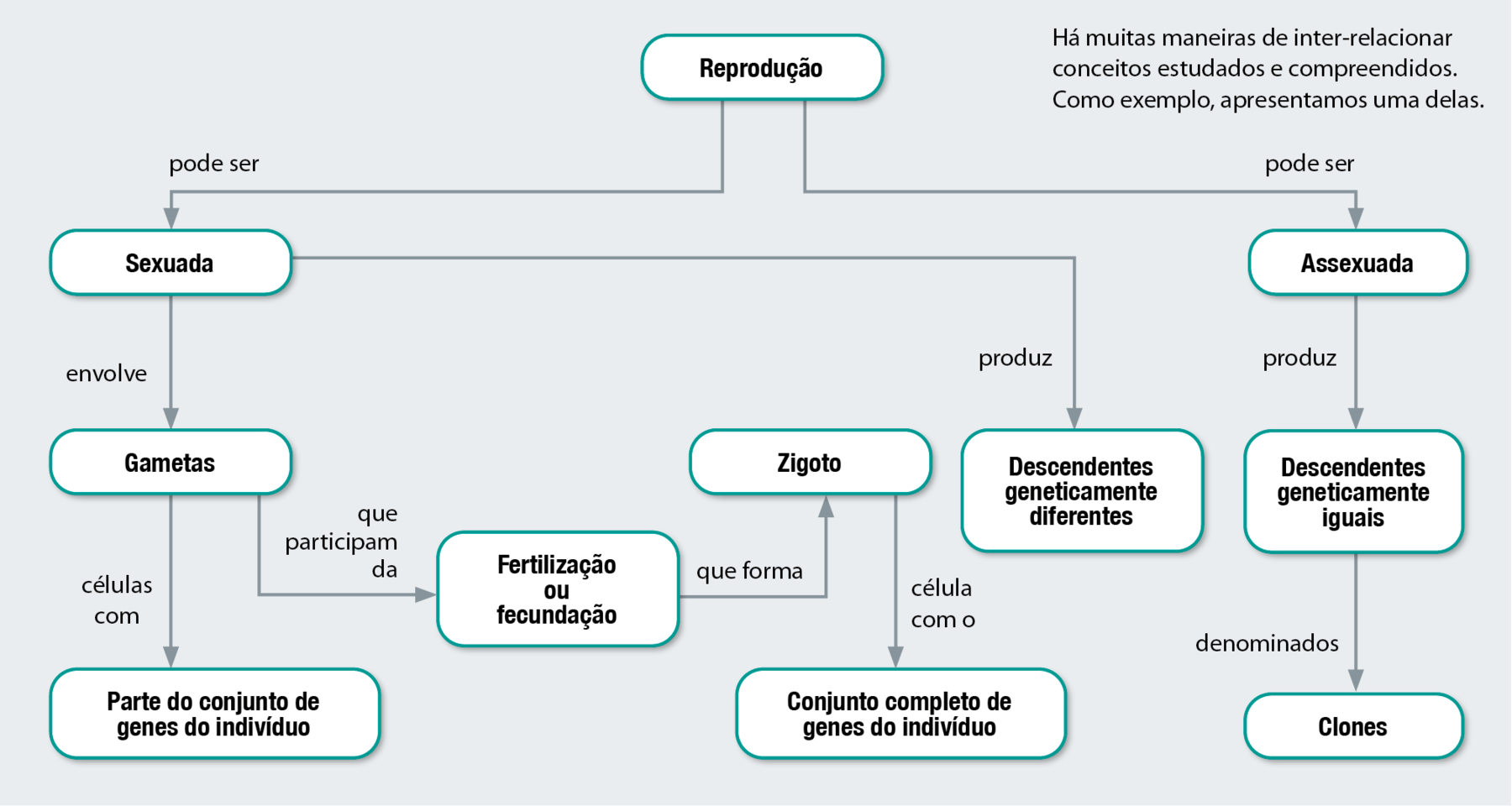 Fluxograma. Reprodução pode ser sexuada ou assexuada. Reprodução pode ser sexuada, envolve gametas, células com parte do conjunto de genes do indivíduo. Gametas participam da fertilização ou fecundação, que forma zigoto, célula com o conjunto completo de genes do indivíduo. Reprodução pode ser sexuada, produz descendentes geneticamente diferentes. Reprodução pode ser assexuada, produz descendentes geneticamente iguais denominados clones.