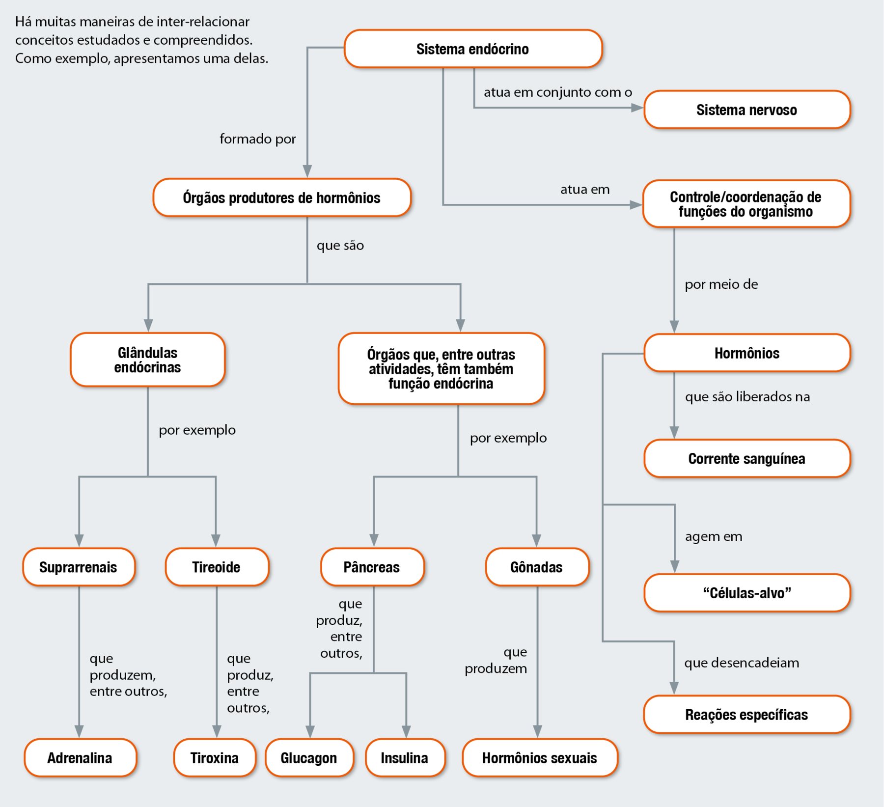 Fluxograma. Sistema endócrino formado por órgãos produtores de hormônios, que são glândulas endócrinas, por exemplo suprarrenais que produzem, entre outros, adrenalina, e tireoide, que produz, entre outros, tiroxina. Sistema endócrino formado por órgãos produtores de hormônios, que são órgãos que, entre outras atividades, têm também função endócrina, por exemplo pâncreas, que produz, entre outros, glucagon e insulina, e gônadas que produzem hormônios sexuais. Sistema endócrino atua em conjunto com o sistema nervoso. Sistema endócrino atual em controle/coordenação de funções do organismo por meio de hormônios. Hormônios que são liberados na corrente sanguínea, agem em "células-alvo" e que desencadeiam reações específicas.