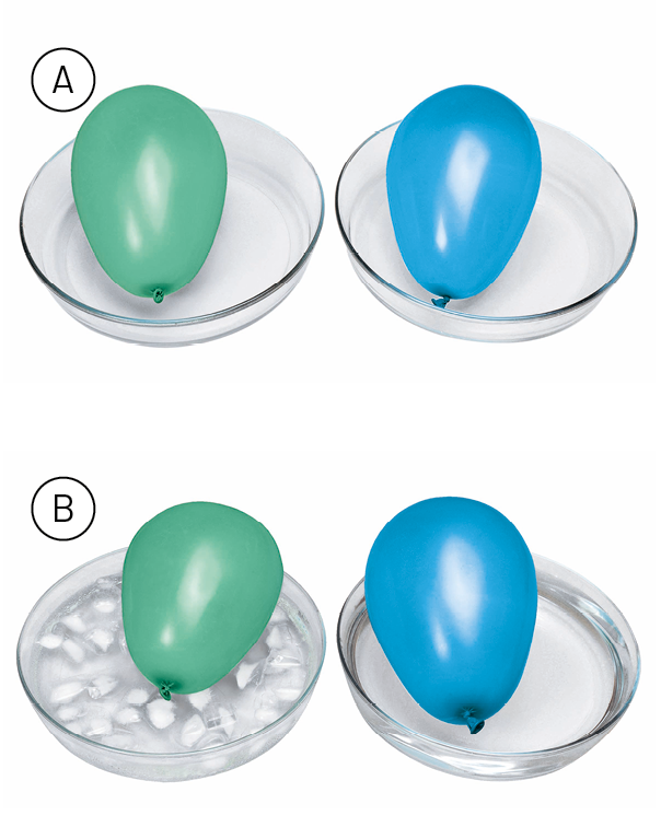 Fotografia. A: dois recipientes, um com um balão cheio verde e um com um balão cheio azul. Fotografia B: dois recipientes, um com água e cubos de gelo e um balão verde cheio em cima; outro recipiente com água e um balão azul cheio em cima.