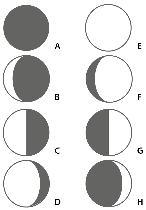 Esquema. Sequência de oito círculos com letras de A a H, representando as fases da Lua. A: círculo preto. B: círculo preto com uma faixa branca à esquerda. C: círculo metade branco à esquerda e metade preto à direita. D: círculo branco com uma faixa preta. E: círculo branco. F: círculo branco com uma uma faixa preta à esquerda. G: círculo metade preto à esquerda e metade branco à direita. H: círculo preto com uma faixa branca à direita.