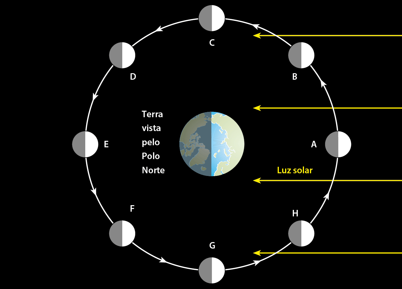 Esquema. No centro, planeta Terra, com metade direita iluminada pela luz solar e metade escura. Setas amarelas da direita para a esquerda representam a Luz solar. Terra vista pelo Polo Norte. Ao redor da Terra, setas indicando a órbita da Lua. Há oito imagens da Lua em diferentes posições ao redor da Terra: A, B, C, D, E, F, G, H.