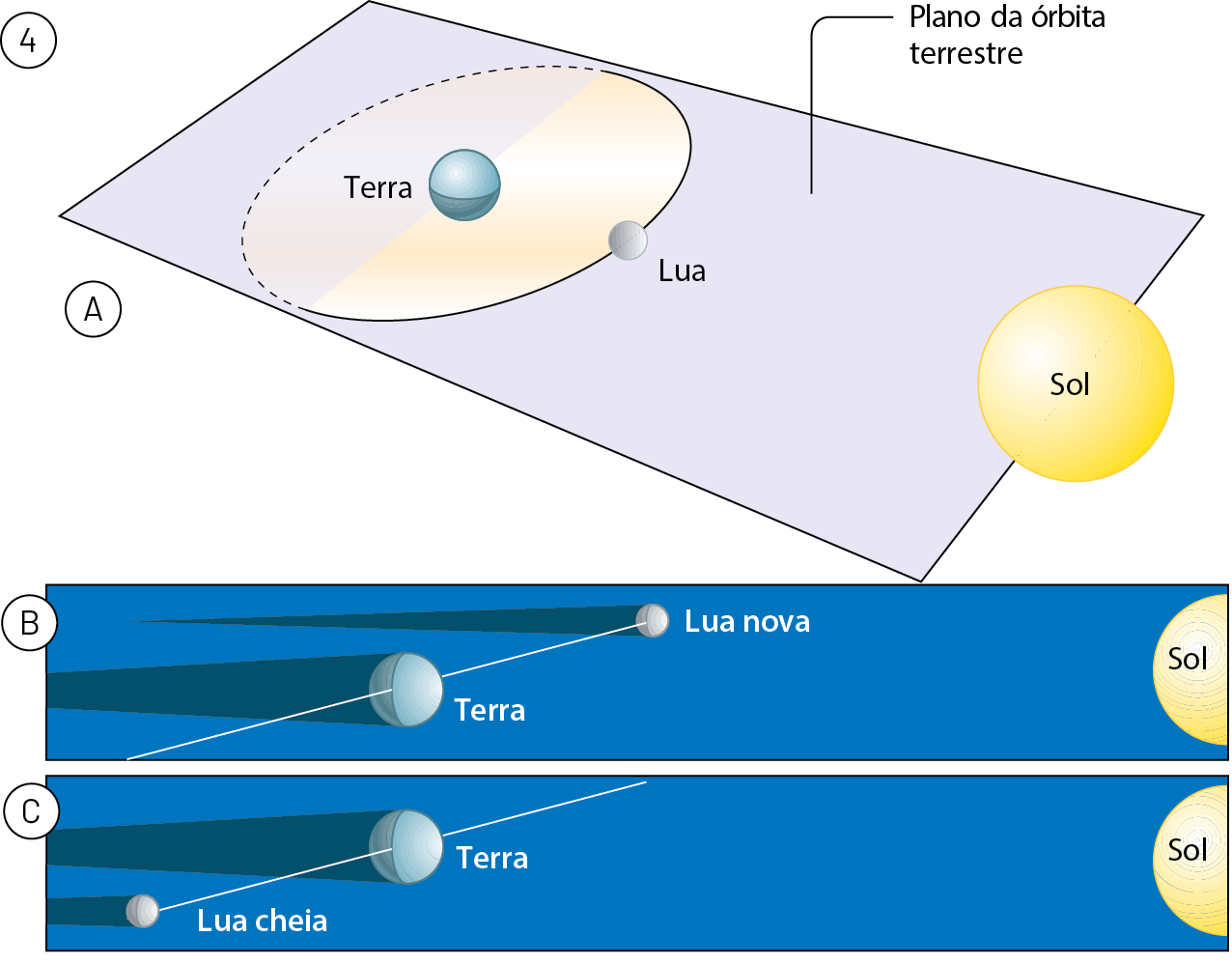 Esquema 4. A: plano da órbita terrestre, com Terra, Sol e Lua alinhados, com o Sol à direita. A Lua está desenhada em apenas um ponto entre o Sol e a Terra, na órbita lunar. B: Imagem da Lua nova em uma linha inclinada. Ela não está no cone de sombra da Terra. C: Imagem da Lua cheia em uma linha inclinada. Ela não está no cone de sombra da Terra.