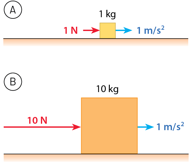 Esquema A. Quadrado com 1 quilograma. Seta vermelha para direita indicando 1 Newton . Seta azul para direita indicando aceleração de 1 metro por segundo ao quadrado. Esquema B. Quadrado com 10 quilogramas. Seta vermelha para direita indicando 10 Newtons . Seta azul para direita indicando aceleração de 1 metro por segundo ao quadrado.