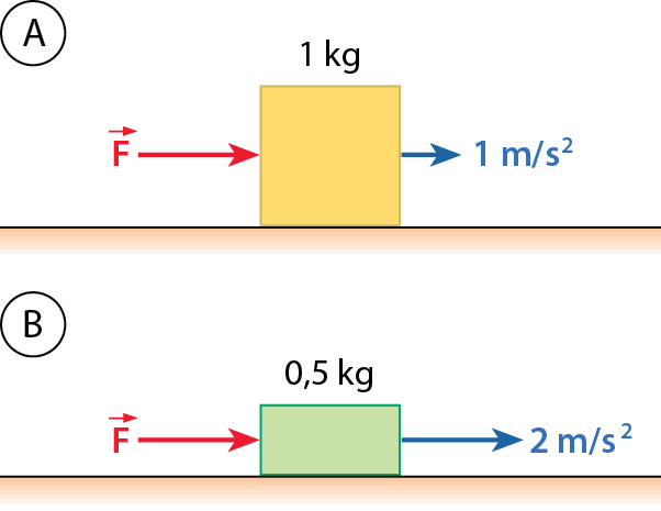 Esquema A. Quadrado indicando 1 quilograma. Seta vermelha para a direita indicando a força F. Seta azul para a direita indicando aceleração de 1 metro por segundo ao quadrado. Esquema B. Retângulo indicando 0,5 quilograma. Seta vermelha para a direita indicando força F. Seta azul para direita indicando aceleração de 2 metros por segundo ao quadrado. Esquema C. Quadrado indicando 1 quilograma. Seta vermelha para a direita indicando força 2F. Seta azul para direita indicando aceleração de 2 metros por segundo ao quadrado. Esquema D. Retângulo indicando 0,5 quilograma. Seta vermelha para a direita indicando força 2F. Seta azul para direita indicando aceleração de 4 metros por segundo ao quadrado.