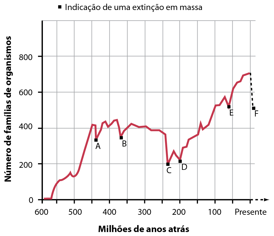 Gráfico. Número de famílias de seres vivos em função do tempo. Na vertical, número de famílias de organismos. Na horizontal, milhões de anos atrás. Ponto A: 330 famílias. Anos: 440. Ponto B. Organismos: 350 famílias. Anos: 360. Ponto C: 200 famílias. Anos: 240. Ponto D: 210 famílias. Anos: 200. Ponto E. 510 famílias. Anos: 60. Ponto F. 500 famílias. Anos: presente.