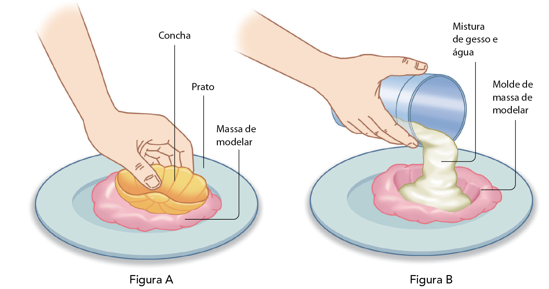 Esquema A. Destaque para uma mão segurando uma concha sobre um prato com massa de modelar cor-de-rosa. Esquema B. Destaque para uma mão despejando mistura de gesso e água sobre massa de modelar com o molde da concha.