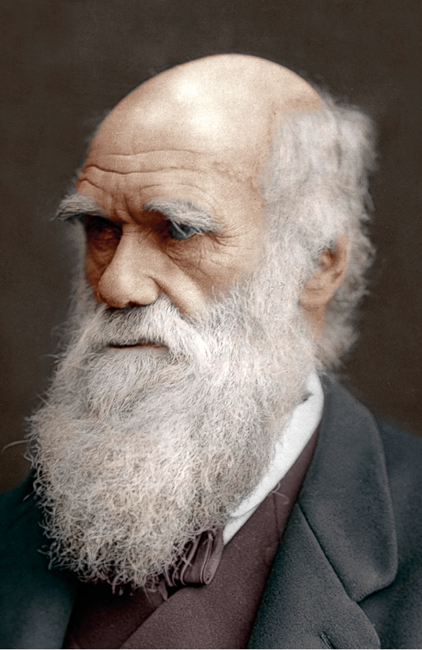 Fotografia. Homem branco, idoso, calvo com barba longa branca. Ele veste um terno cinza.