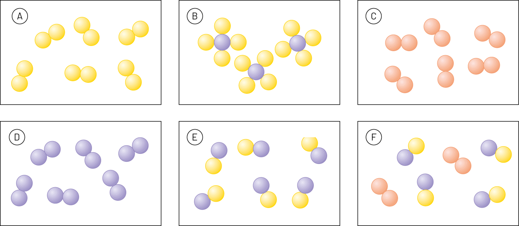 Ilustração. Sequência de quadros com moléculas representadas por combinações de esferas coloridas. A: Seis moléculas formadas por duas esferas amarelas unidas. B: Três moléculas formadas por uma esfera roxa com quatro esferas amarelas ao redor. C: Seis moléculas formadas por duas esferas laranjas unidas. D: Seis moléculas formadas por duas esferas roxas unidas. E: Seis moléculas formadas por uma esfera roxa unida a uma esfera amarela. F: Quatro moléculas formadas por uma esfera roxa unida a uma esfera amarela e duas moléculas formadas por duas esferas laranjas unidas.Ilustração. Sequência de quadros com moléculas representadas por combinações de esferas coloridas. A: Seis moléculas formadas por duas esferas amarelas unidas. B: Três moléculas formadas por uma esfera roxa com quatro esferas amarelas ao redor. C: Seis moléculas formadas por duas esferas laranjas unidas. D: Seis moléculas formadas por duas esferas roxas unidas. E: Seis moléculas formadas por uma esfera roxa unida a uma esfera amarela. F: Quatro moléculas formadas por uma esfera roxa unida a uma esfera amarela e duas moléculas formadas por duas esferas laranjas unidas.