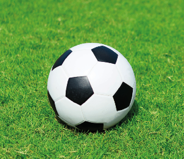 Fotografia. Bola de futebol sobre um gramado.