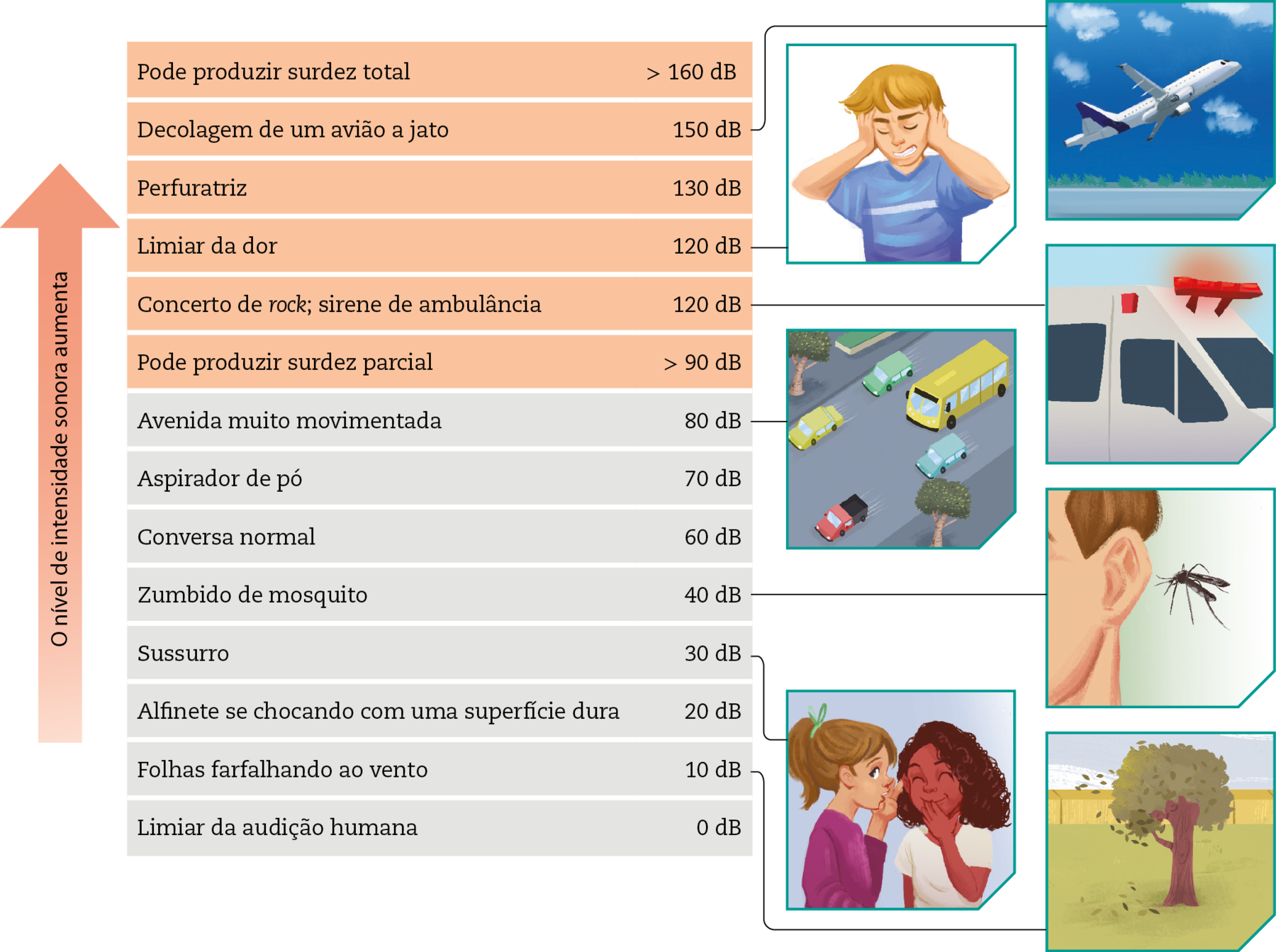 Ilustração. Linhas com itens e seus decibéis. Seta de baixo para cima, com o texto: O nível de intensidade sonora aumenta. Limiar da audição humana: 0 decibéis. Folhas farfalhando ao vento: 10 decibéis. Desenho de uma árvore com algumas folhas caindo. Alfinete se chocando com uma superfície dura: 20 decibéis. Sussurro: 30 decibéis. Desenho de uma menina cochichando na orelha de outra menina. Zumbido de mosquito: 40 decibéis. Desenho de um mosquito voando ao lado da orelha de uma pessoa. Conversa normal: 60 decibéis. Aspirador de pó: 70 decibéis. Avenida muito movimentada: 80 decibéis. Desenho de uma rua com carros e caminhões. Pode produzir surdez parcial: maior que 90 decibéis. Concerto de rock, sirene de ambulância: 120 decibéis. Desenho de uma ambulância. Limiar da dor: 120 decibéis. Desenho de um menino de cabelo loiro, usando camiseta azul com as duas mãos nas orelhas. Perfuratriz: 130 decibéis. Decolagem de um avião a jato: 150 decibéis. Desenho  de um avião decolando. Pode produzir surdez total: maior que 160 decibéis.