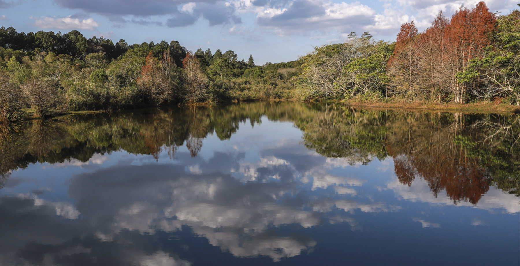 Fotografia. Vista de um lago refletindo parte de uma cidade, com prédios e árvores. A imagem não é refletida perfeitamente.