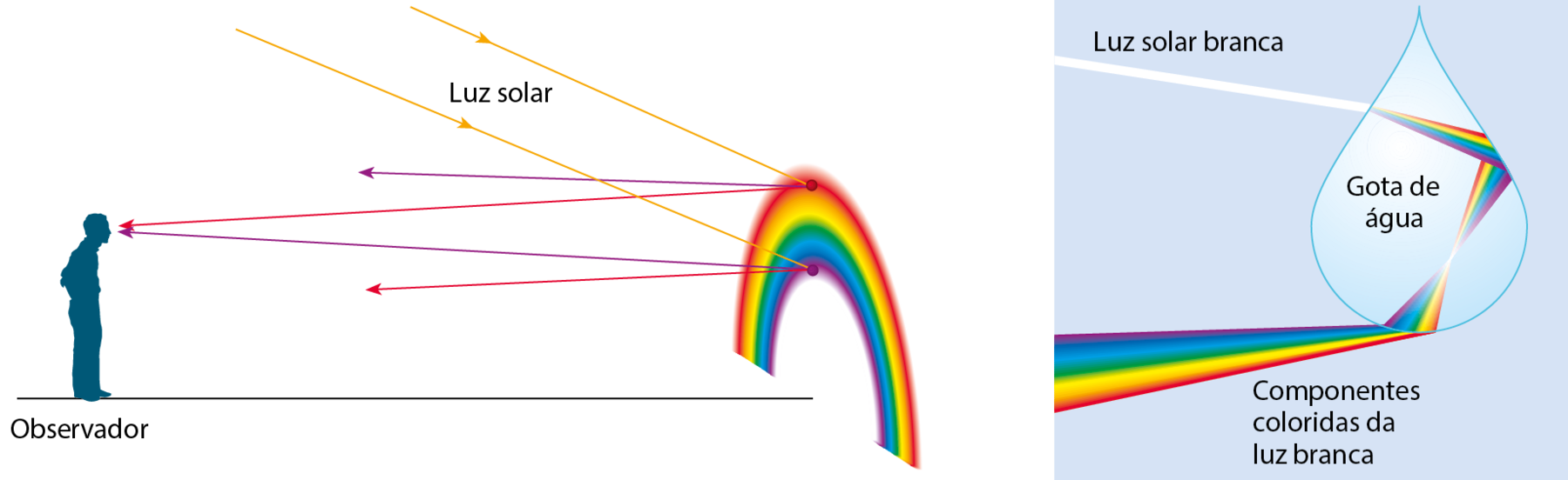 Esquema. Silhueta de homem indicando observador. À direita, um arco-íris. Setas de diferentes cores saem do arco-íris e seguem em direção ao olho do observador.  Esquema. Gota de água recebendo luz solar branca. Na gota, o raio de luz branca é decomposto nas sete cores do arco-íris. Raios coloridos saindo da gota de água.