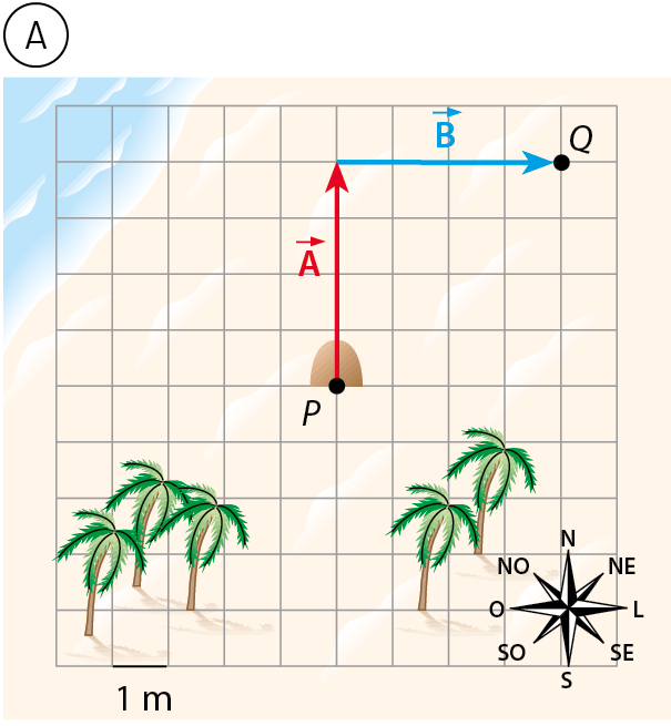 Esquema A. Mapa quadriculado de 10 por 10 quadrados; cada lado do quadrado corresponde a 1 metro. No canto inferior esquerdo, três coqueiros. No centro, uma pedra indica ponto P. No canto inferior direito, dois coqueiros e uma rosa dos ventos. Vetor A 4 metros para cima a partir de P. Depois, seta para direita vetor B 4 metros até ponto Q.