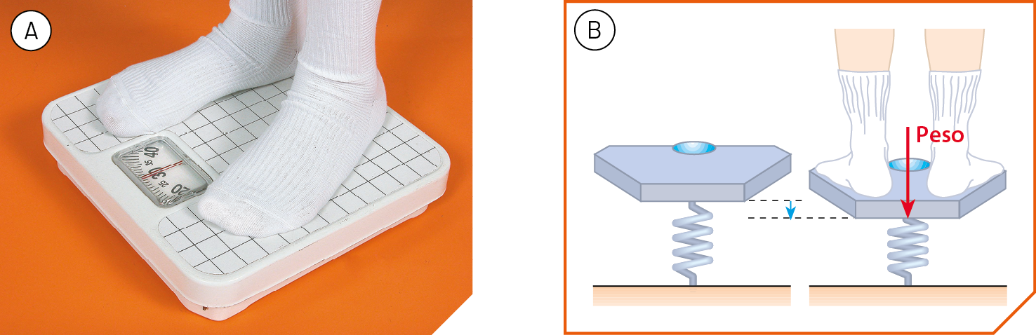 Fotografia A. Destaque para dois pés sobre uma balança.  Esquema. Balança vista de lado, evidenciando uma mola na parte de baixo. Ao lado, os pés de uma pessoa sobre a balança. Força peso para baixo comprime a mola.