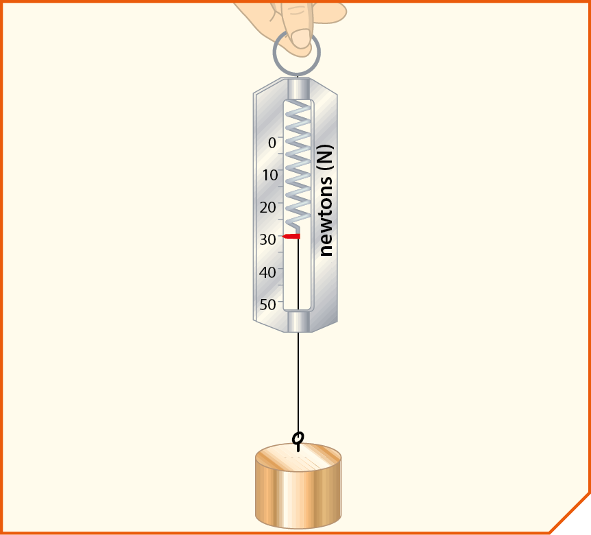Esquema. Destaque de uma mão segurando um dinamômetro marcando 30 Newtons. Pendurado ao dinamômetro, um cilindro dourado.