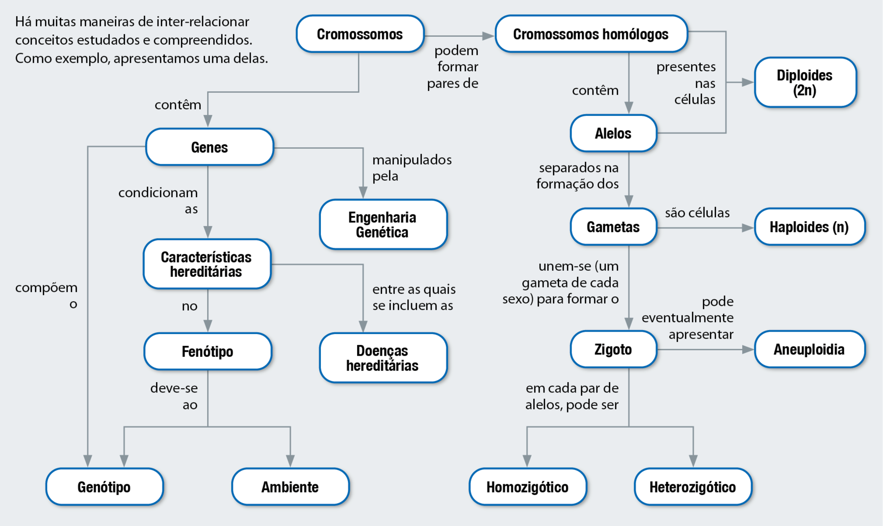 Fluxograma. Cromossomos contêm genes, compõem o genótipo. Cromossomos contêm genes, condicionam as características hereditárias no fenótipo, deve-se ao genótipo e ao ambiente. 
Cromossomos contêm genes, condicionam as características hereditárias, entre as quais se incluem as doenças hereditárias. 
Cromossomos contêm genes manipulados pela Engenharia Genética. Cromossomos podem formar pares de cromossomos homólogos, presentes nas células diploides (2n).  Cromossomos podem formar pares de cromossomos homólogos contêm alelos, separados na formação dos gametas, são células haploides (n); gametas unem-se (um gameta de cada sexo) para formar o zigoto. Zigoto pode eventualmente apresentar aneuploidia. Zigoto, em cada par de alelos, pode ser homozigoto ou heterozigótico.